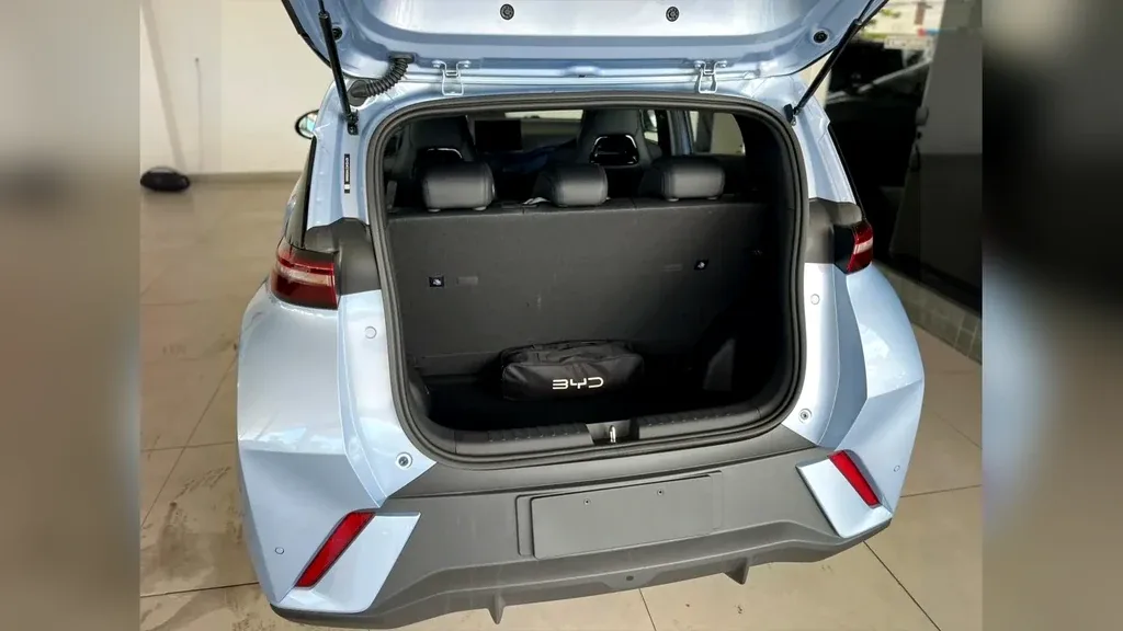 BYD Dolphin Mini - Imagem 13