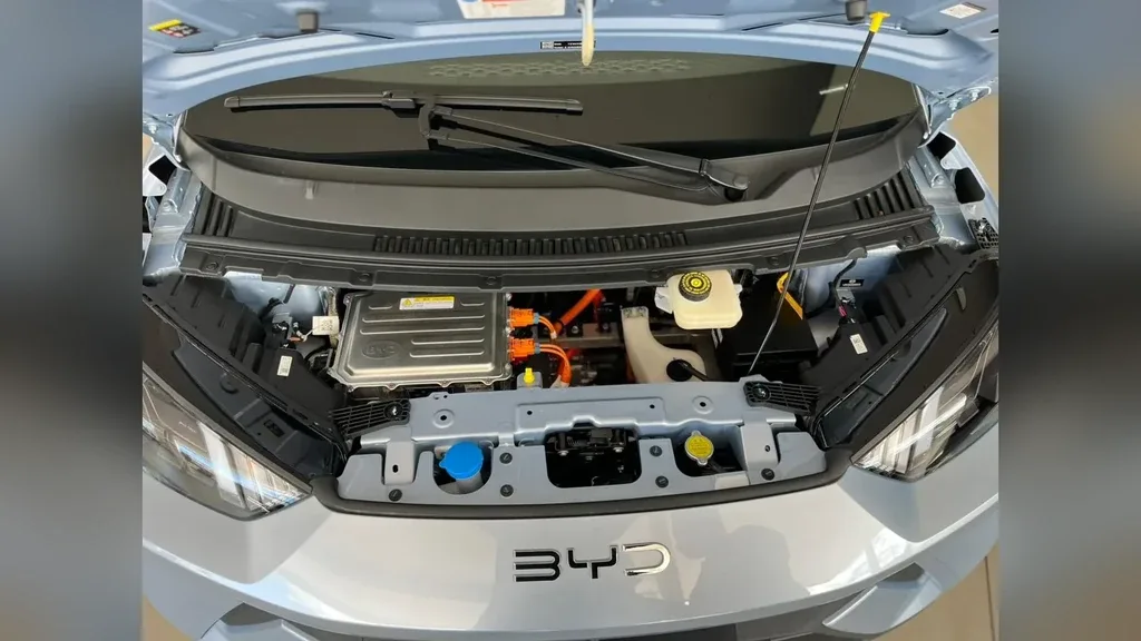 BYD Dolphin Mini - Imagem 14