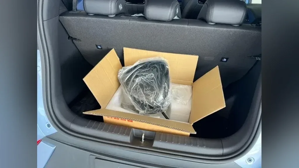 BYD Dolphin Mini - Imagem 15