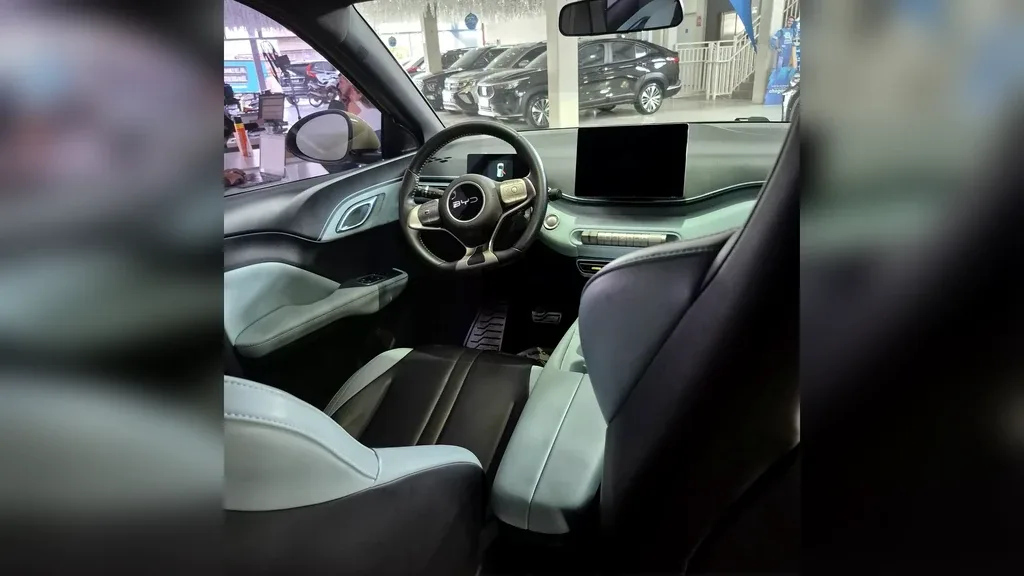 BYD Dolphin Mini - Imagem 10