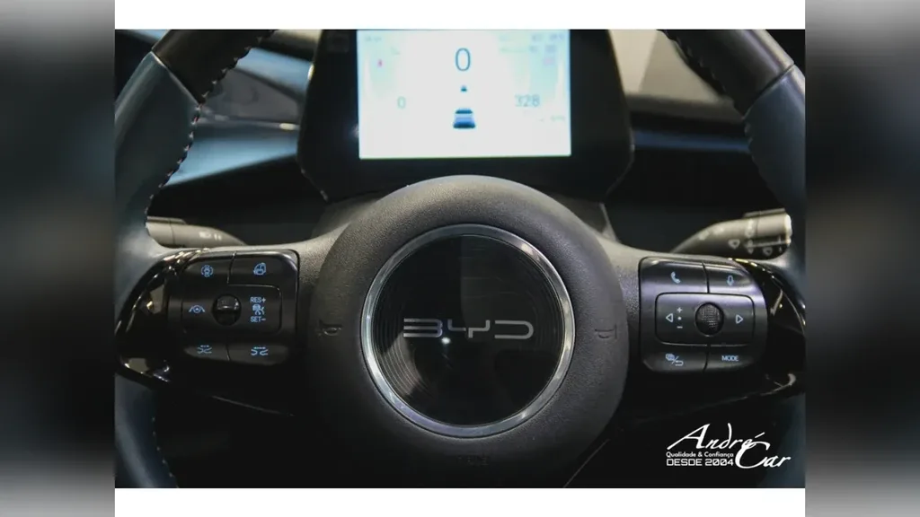 BYD Dolphin Plus - Imagem 18