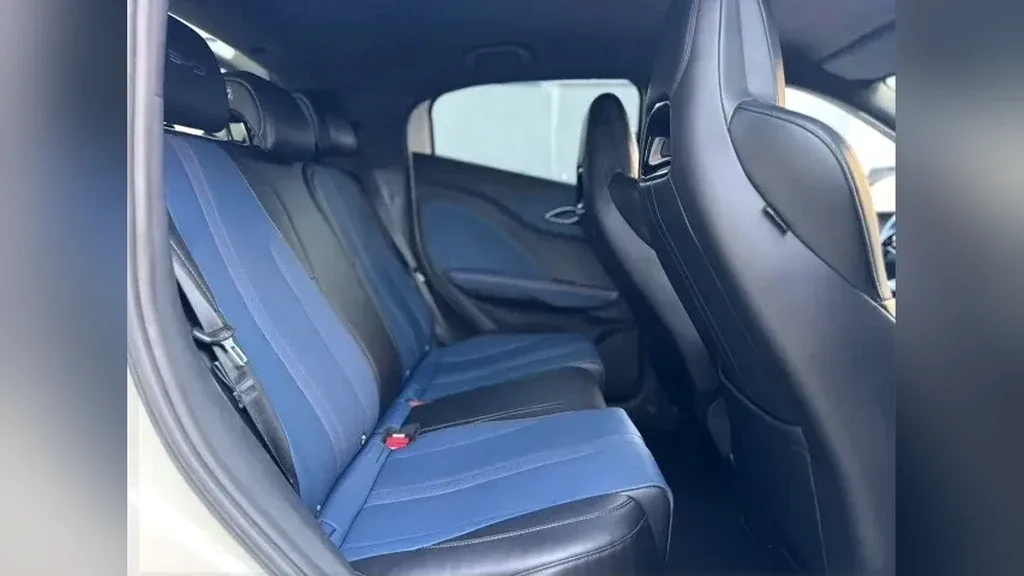 BYD Dolphin Mini - Imagem 16