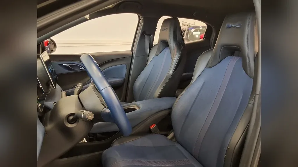 BYD Dolphin Mini - Imagem 6