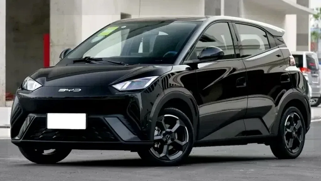 Foto de um byd dolphin mini