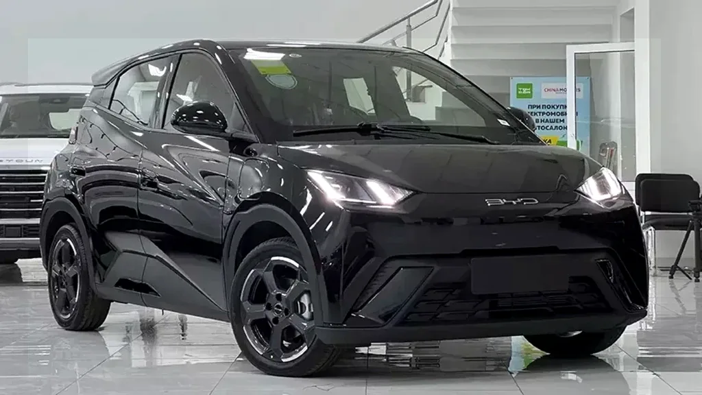 BYD Dolphin Mini - Imagem 2