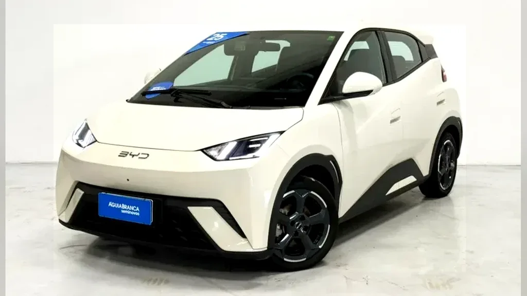 Foto de um byd dolphin mini