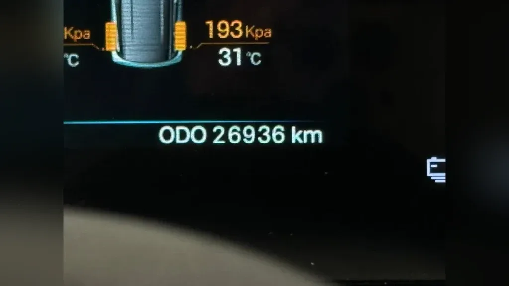 BYD Dolphin Mini - Imagem 12