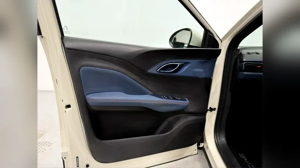 BYD Dolphin Mini - Imagem 19