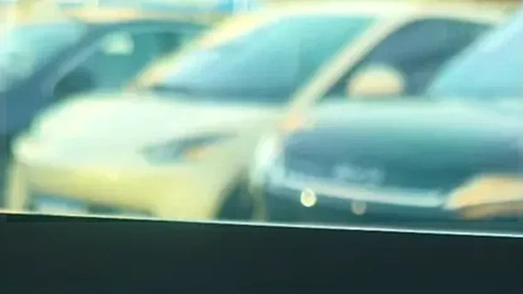 BYD Dolphin Mini - Imagem 16