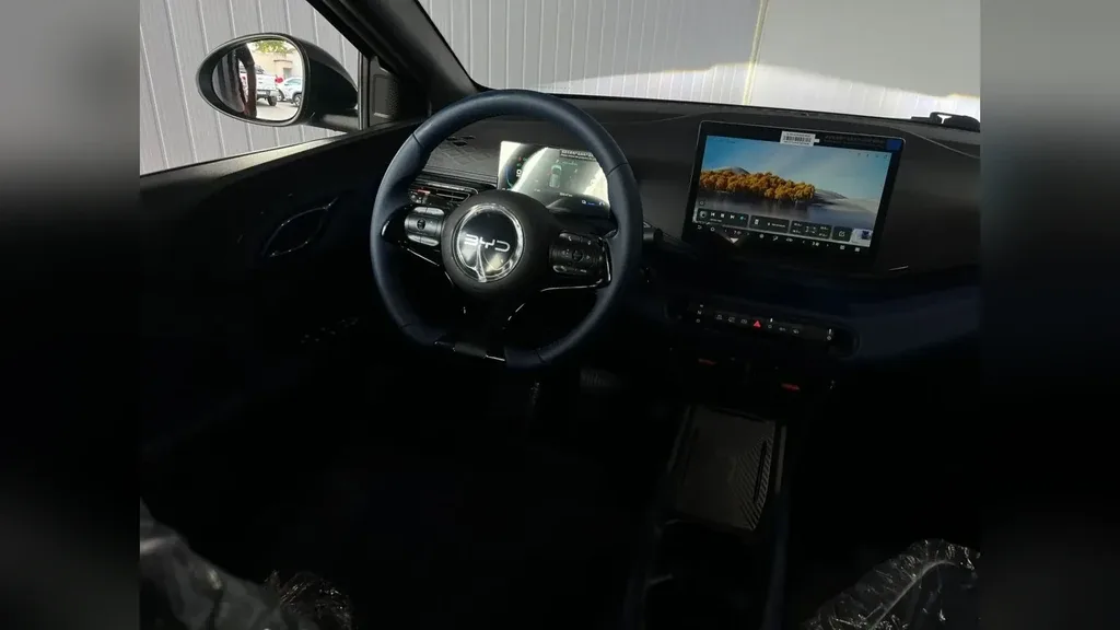 BYD Dolphin Mini - Imagem 14