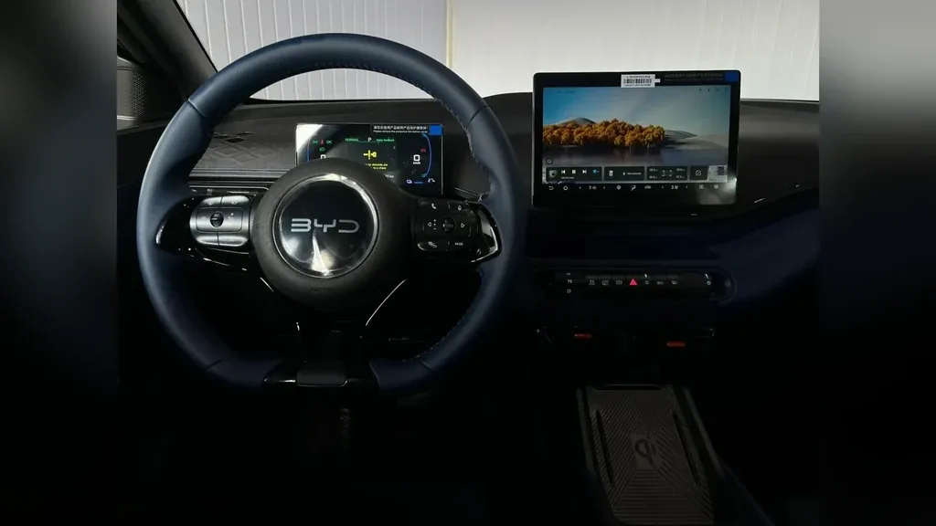 BYD Dolphin Mini - Imagem 20