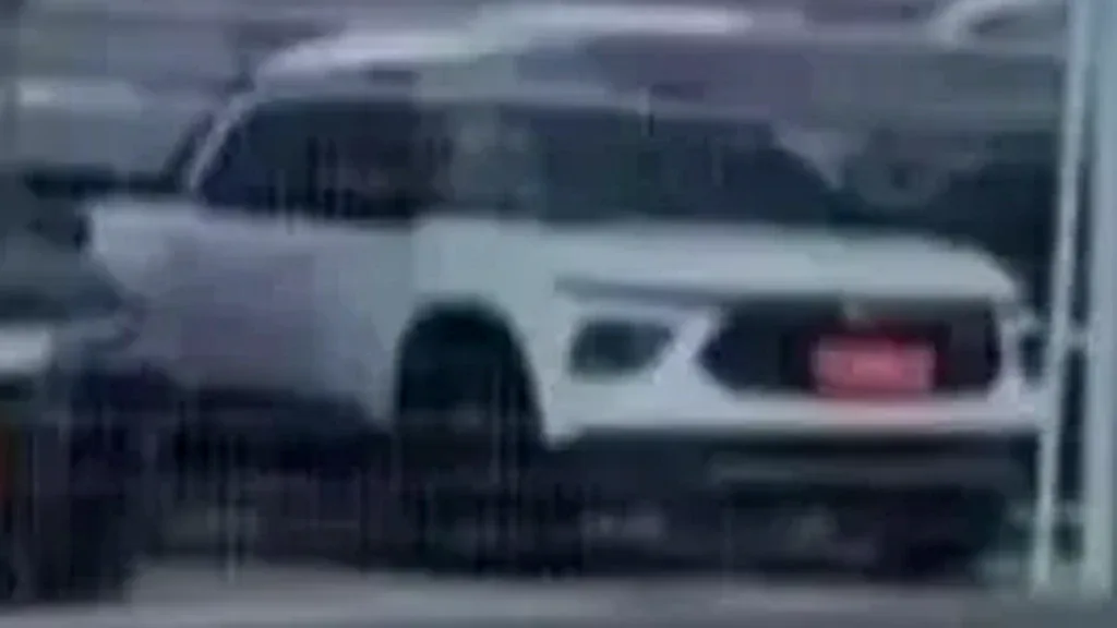 BYD Dolphin Mini - Imagem 3