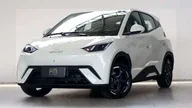 BYD Dolphin Mini - Miniatura 1