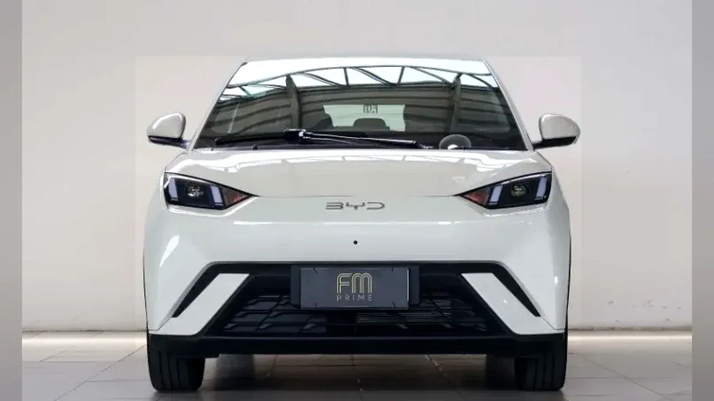 BYD Dolphin Mini - Imagem 2