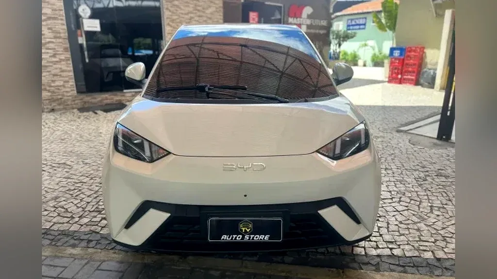 BYD Dolphin Mini - Imagem 2