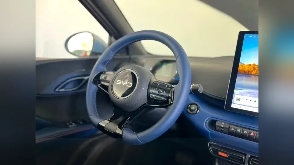 BYD Dolphin Mini - Imagem 16