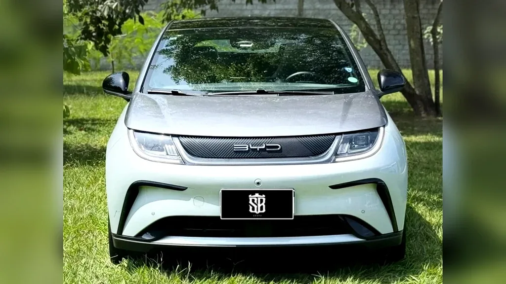 BYD Dolphin Plus - Imagem 2