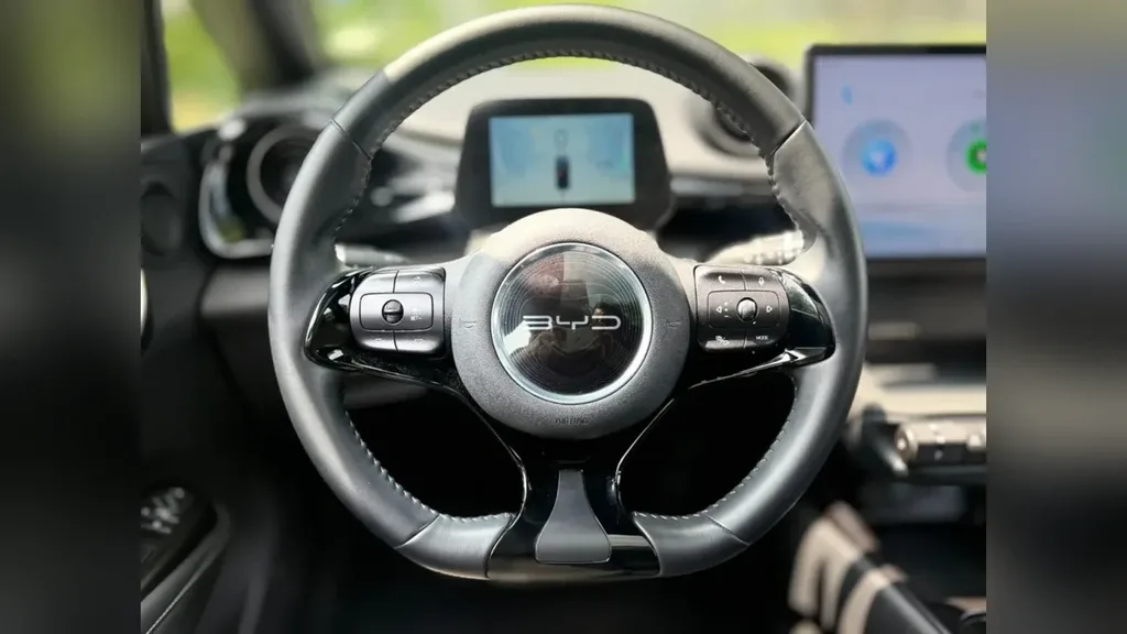 BYD Dolphin Plus - Imagem 10