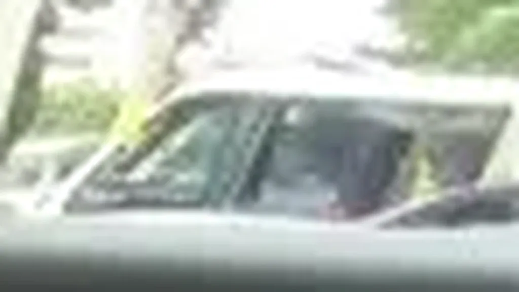 Ford Mustang Mach-e - Imagem 11