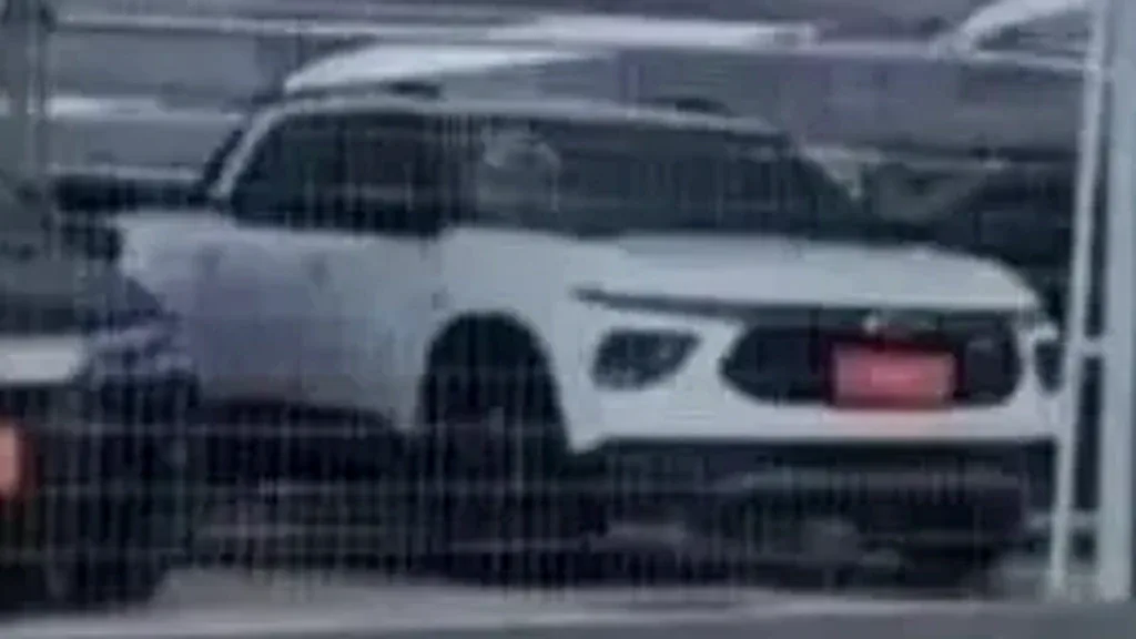 BYD Dolphin Mini - Imagem 2