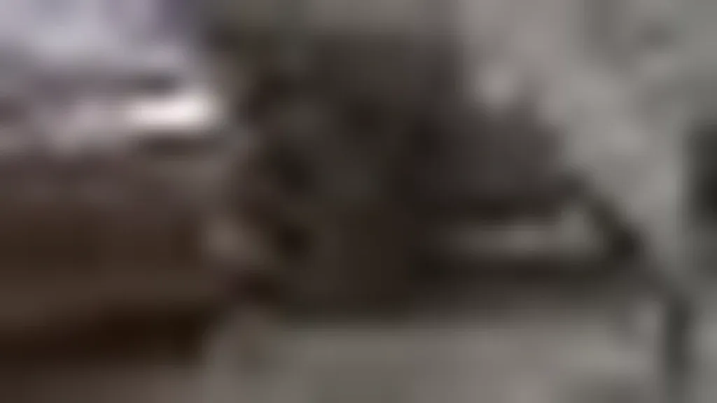 Volvo XC40 Recharge - Imagem 11