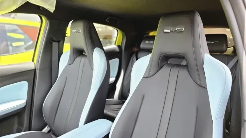 BYD Dolphin Mini - Imagem 10