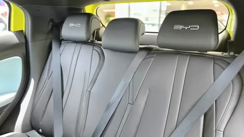 BYD Dolphin Mini - Imagem 13