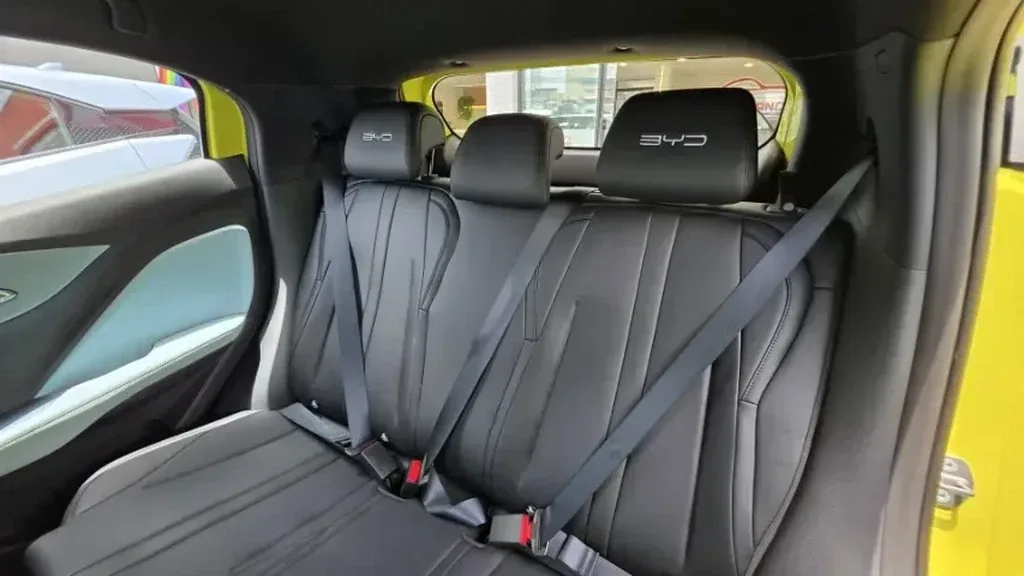 BYD Dolphin Mini - Imagem 15