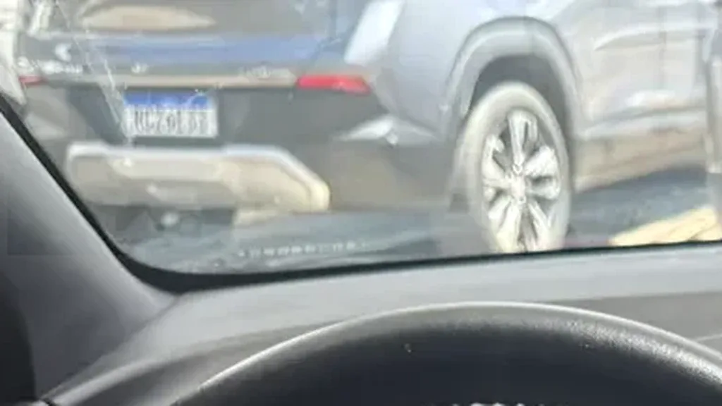 BYD Dolphin Mini - Imagem 10