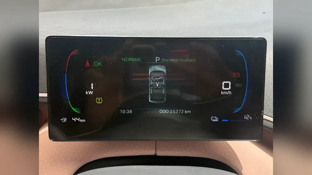 BYD Dolphin Mini - Imagem 13