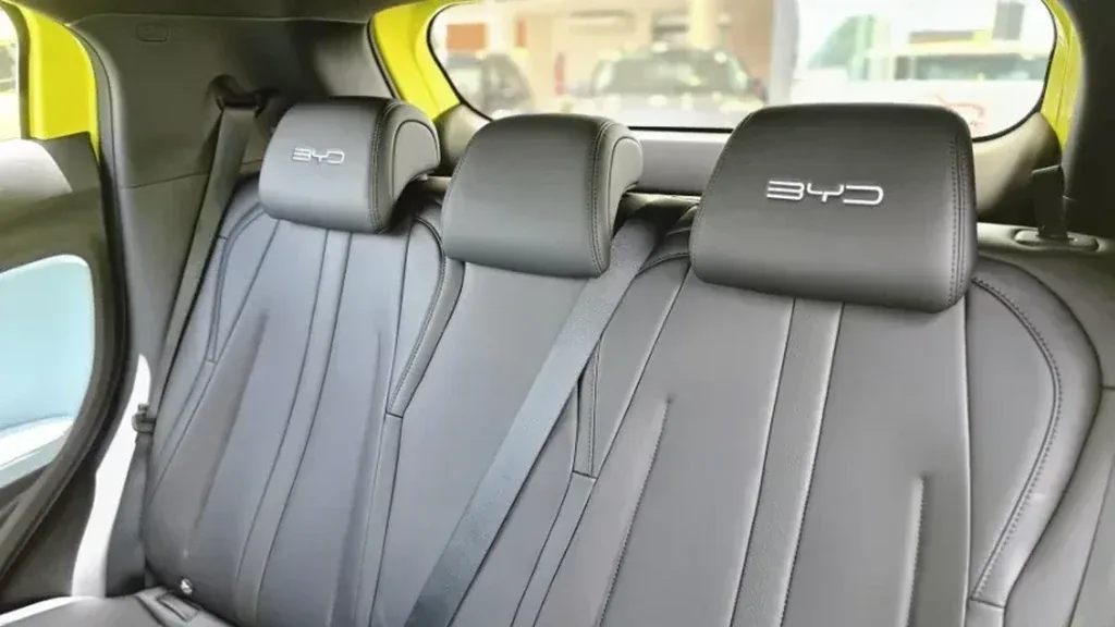 BYD Dolphin Mini - Imagem 14