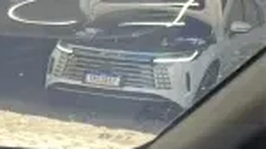 BYD Dolphin Mini - Imagem 7