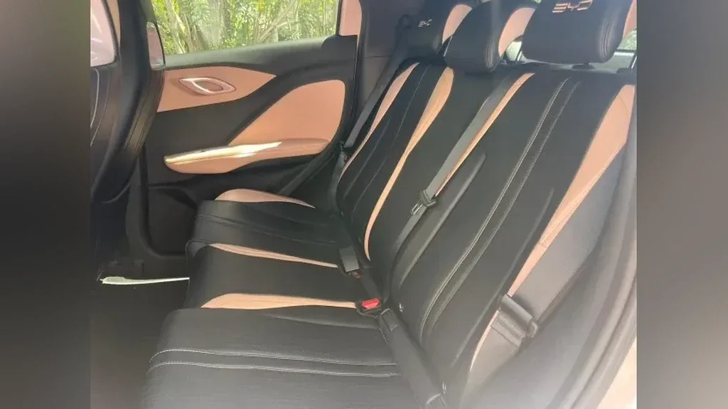 BYD Dolphin Mini - Imagem 13