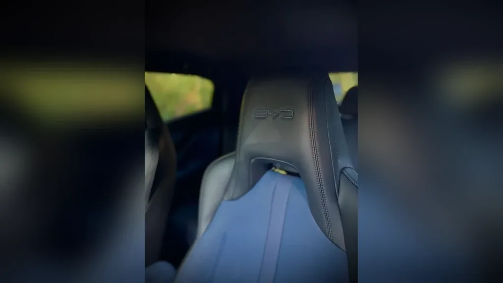 BYD Dolphin Mini - Imagem 18