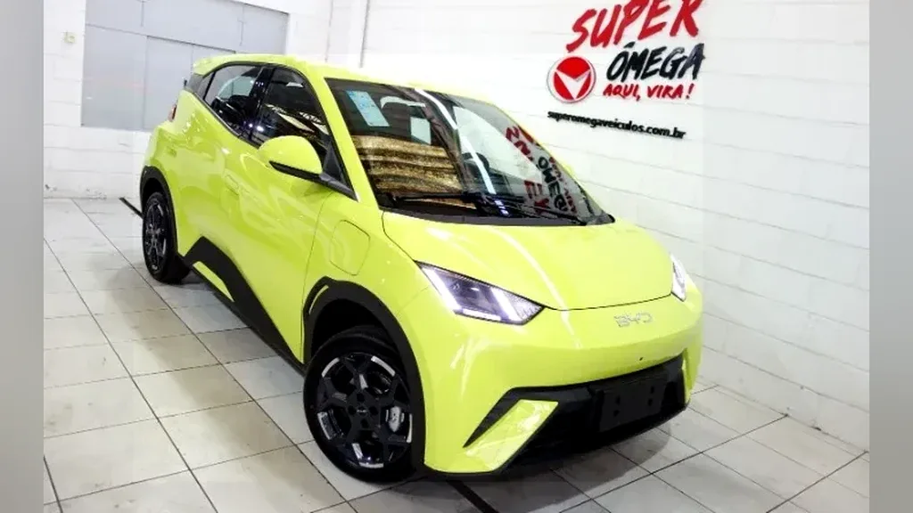 Foto de um byd dolphin mini