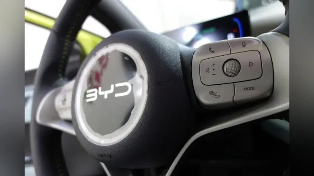 BYD Dolphin Mini - Imagem 11