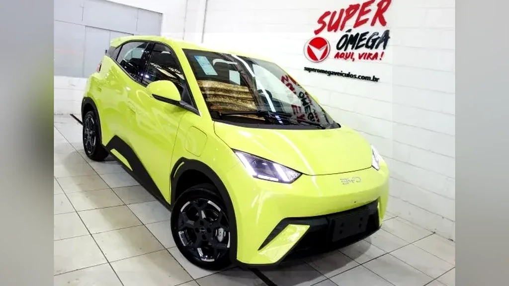 Foto de um byd dolphin