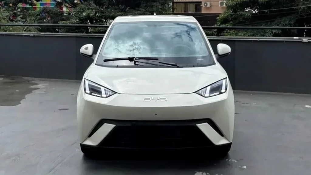 Foto de um byd dolphin mini