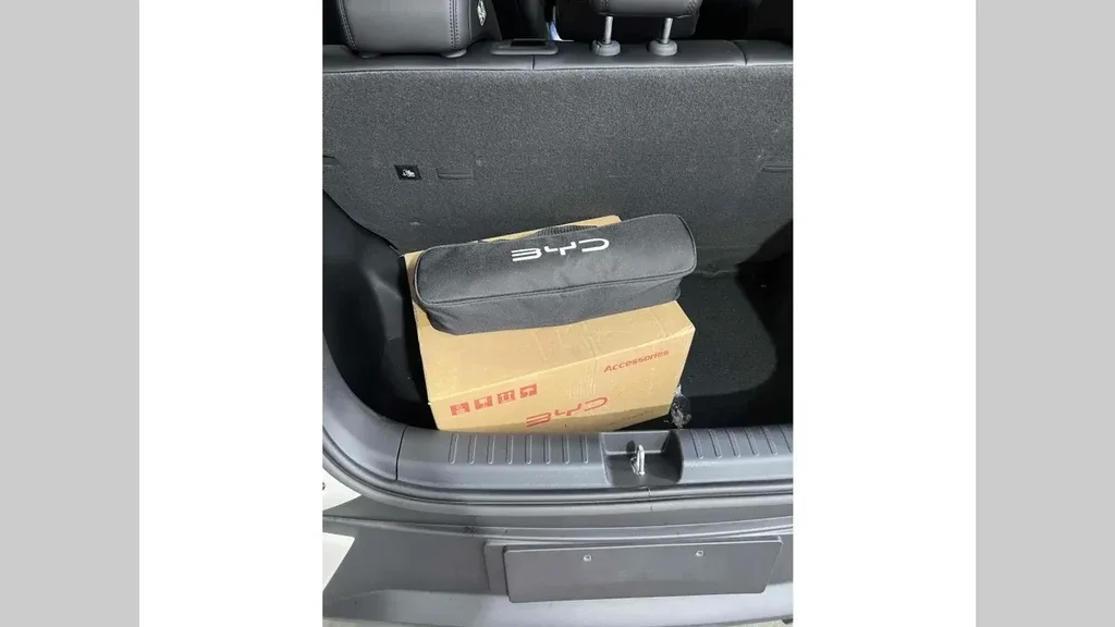 BYD Dolphin Mini - Imagem 10