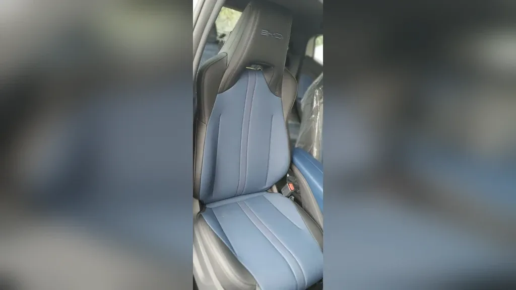 BYD Dolphin Mini - Imagem 10