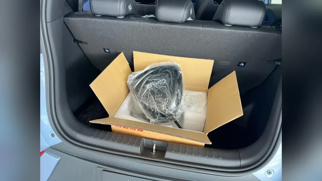 BYD Dolphin Mini - Imagem 13