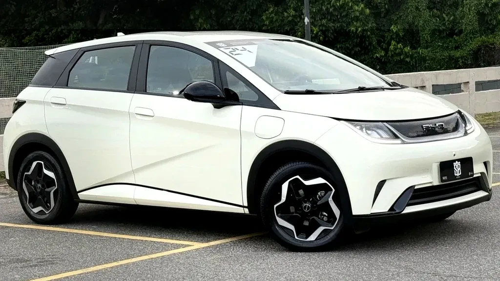 Foto de um byd dolphin