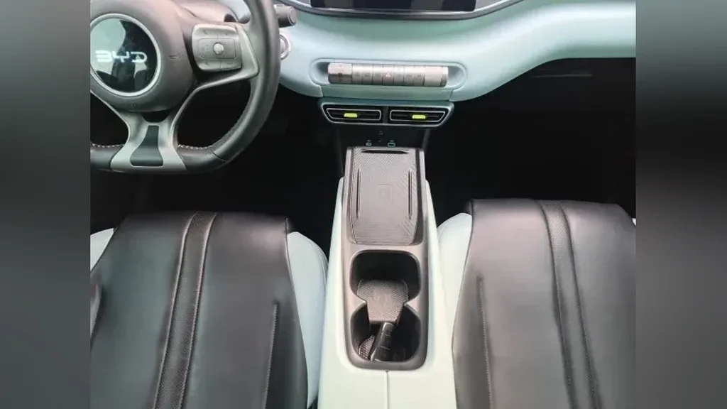 BYD Dolphin Mini - Imagem 12