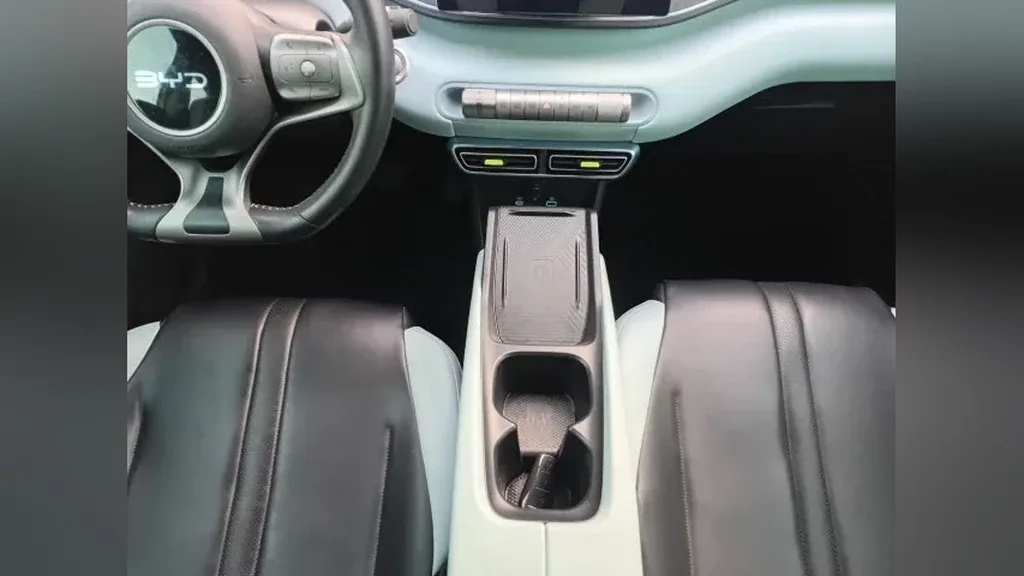 BYD Dolphin Mini - Imagem 13