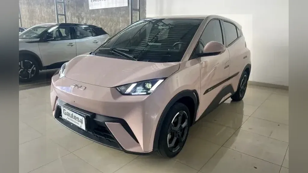 BYD Dolphin Mini - Imagem 11