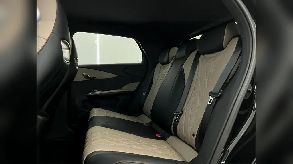 BYD Dolphin Plus - Imagem 14