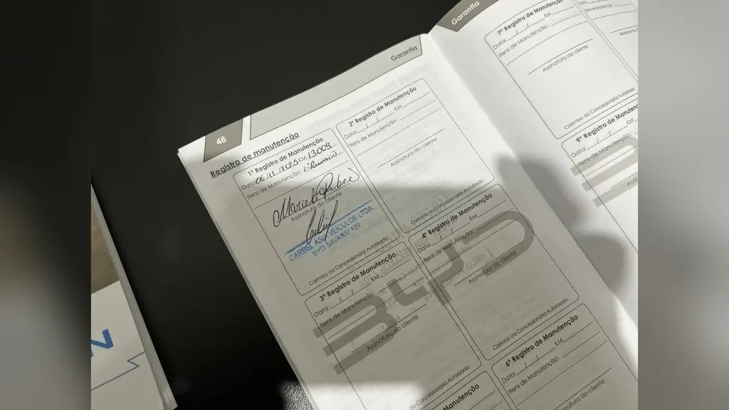 BYD Dolphin Plus - Imagem 20