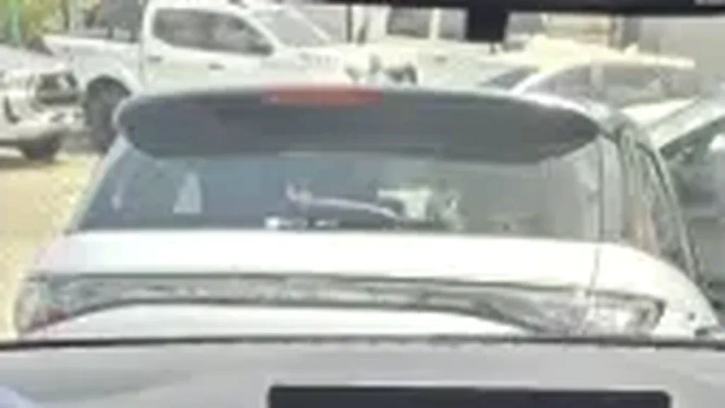 BYD Dolphin Mini - Imagem 13