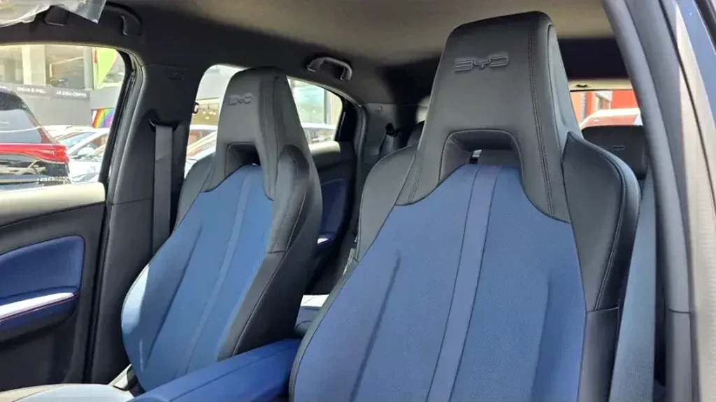 BYD Dolphin Mini - Imagem 14