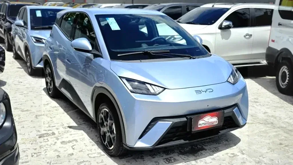 Foto de um byd dolphin mini